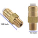 Tool Daily Thermal Release Valve for Pressure Washer Pump, 1/4 Inch NPT, 2-Pack - Grill Parts America