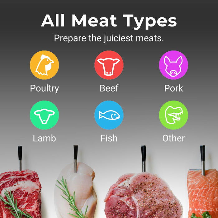 MEATER SE [New]: Smart Bluetooth Wireless Meat Thermometer Digital | 50+ Master Class Recipes in Free App | Internal & Ambient Temp | Ideal for Oven, Grill, Kitchen, BBQ, Smoker, Air Fryer, Sous Vide - Grill Parts America