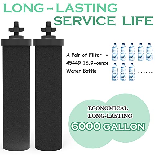 2 Packs Premium coconut activated carbon filter Compatible with Black Purification Elements Countertop Water Purification System -BB9-2 Water Filter replacement - Kitchen Parts America