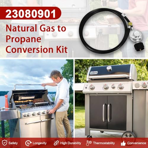 Weber genesis clearance conversion kit