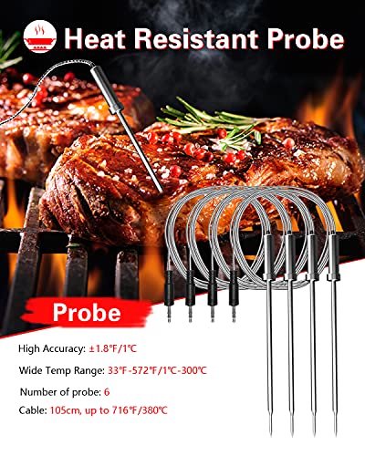 BFOUR Digital Meat Thermometer for Grilling and Smoking, Bluetooth Meat  Thermometer Wireless Dual Meat Probe for Outdoor Grilling, Rechargeable