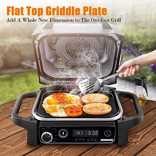 Hisencn Cast Iron Griddle for Ninja Woodfire Grills,Non-Stick Griddle Plate  Flat Top Griddle Grill Pan Compatible with Ninja Woodfire Outdoor Grills ( Ninja OG701) Ceramic Coating,Insert 