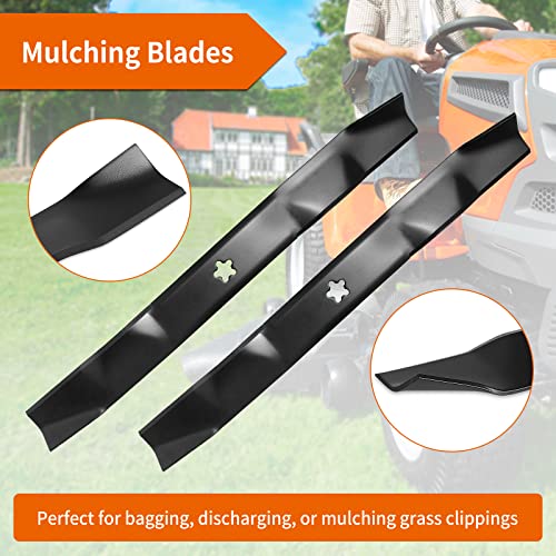 405380 Lawn Mower Blades Compatible with Poulann CraftsMann YT3000 46 Deck  HusqVarnaa YTH22V46, YTH20K46,(2 Pack) 46 Inch Cut, Replace PP21011